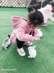 -萌宠亲子动物乐园(槐房万达店)