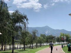 -光明港公园