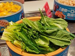 -龍歌自助小火锅(李沧丽达店)