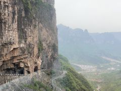 -王莽岭风景区