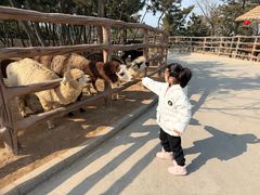 -西霞口神雕山野生动物世界