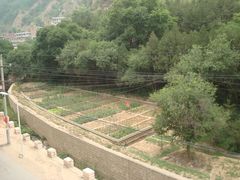 -延安杨家岭革命旧址