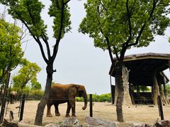 -上海野生动物园