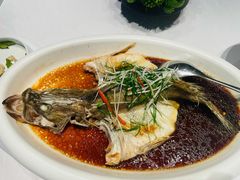 清蒸桂鱼-俏江南天津时尚曲艺主题餐厅(马场道店)