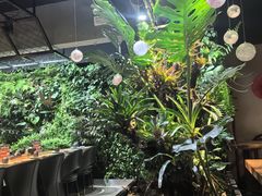 -森味薪火烧•烧鸟居酒屋•日本料理(望京店)