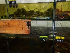 -岛中岛·海鲜大排档·万宁老字号(东澳店)