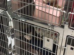 -拜鲁耶动物诊疗中心·宠家动物医院