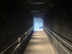 -新加坡飞禽公园
