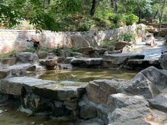 -北京西山国家森林公园