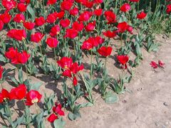 -双峰山国家森林公园-售票处