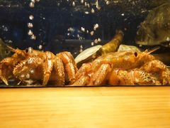 -鲔屋寿喜烧