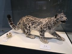 -国家自然博物馆