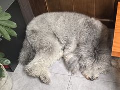 -沏点Trattoria意大利餐厅(新街口店)