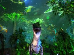 -广州长隆野生动物世界