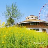 反正门票才20元，太值得推荐了