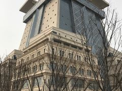 -郑州西亚斯学院-体育学院