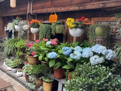 -龙姐私房菜(和顺古镇店)