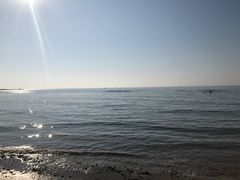 -东戴河风景区-止锚湾