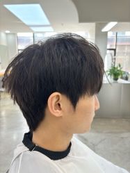 -蚂蚁造型沙龙