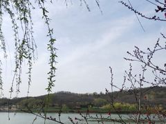 -羊山湖公园