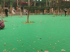 -西安市长乐公园