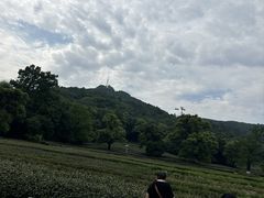 -灵顺寺