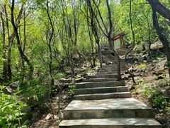 -野三坡百草畔景区