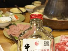 -东镇老火锅(长春路首店)