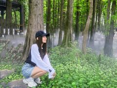 -东湖落雁景区