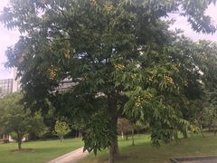 -江南大学(蠡湖校区)