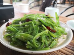-马帮菜馆·美味野生菌