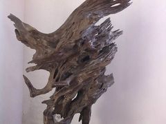-苏州园林博物馆