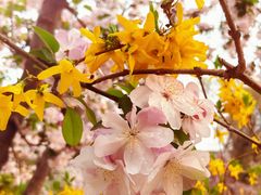 -元大都城垣遗址公园