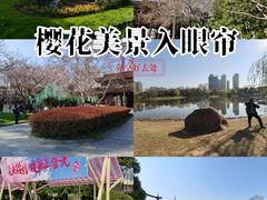 -堤角公园