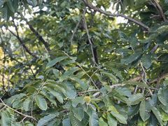 -敬亭山风景名胜区