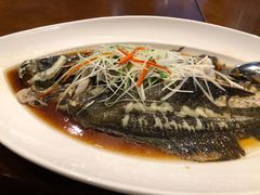-臻宝中餐厅·大连菜·海鲜·融合菜(大连一方城堡豪华精选酒店)