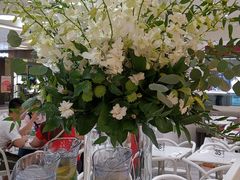 -Lady M(沙田新城市广场店)
