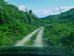 -齐岳山