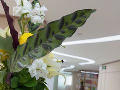 -普素书咖茶空间