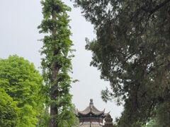 -洛阳白马寺