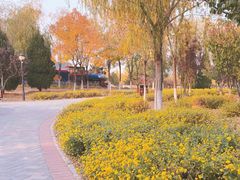 -永定河休闲森林公园