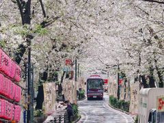 -西武百货(涩谷店)