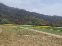 -八卦田遗址公园