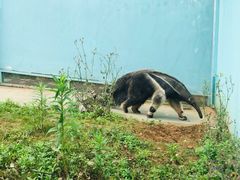 -无锡动物园·太湖欢乐园