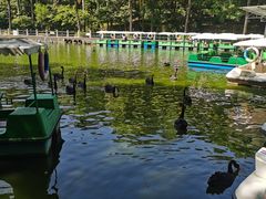 -广东茂名森林公园