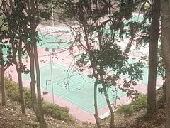 -瑶湖郊野森林公园