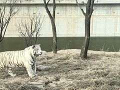-太原动物园