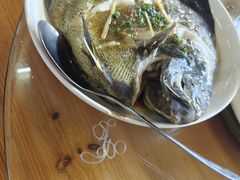 -蓝湾碧波·老字号·疍家非遗海上餐厅