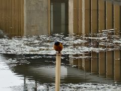 -小六农家乐(崇明西沙湿地店)