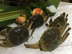 翡翠墨鱼滑-海底捞大排档火锅(打浦路店)